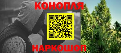 apvp Лесосибирск